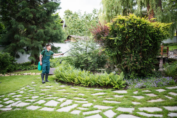 Best Local Pest Control Services  in Fifth Street, TX