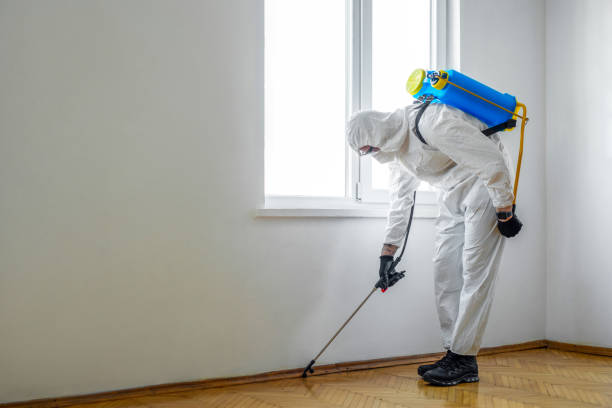 Best Affordable Pest Control Services  in Fifth Street, TX