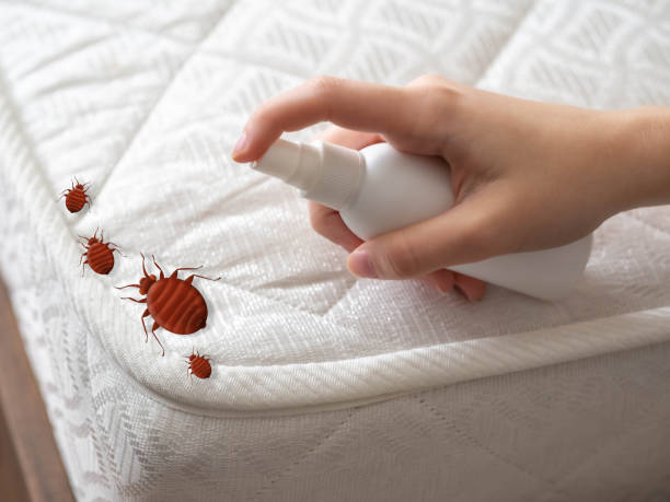Best Bed Bug Extermination  in Fifth Street, TX