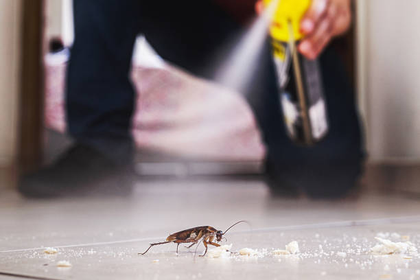 Best Cockroach Control Services  in Fifth Street, TX